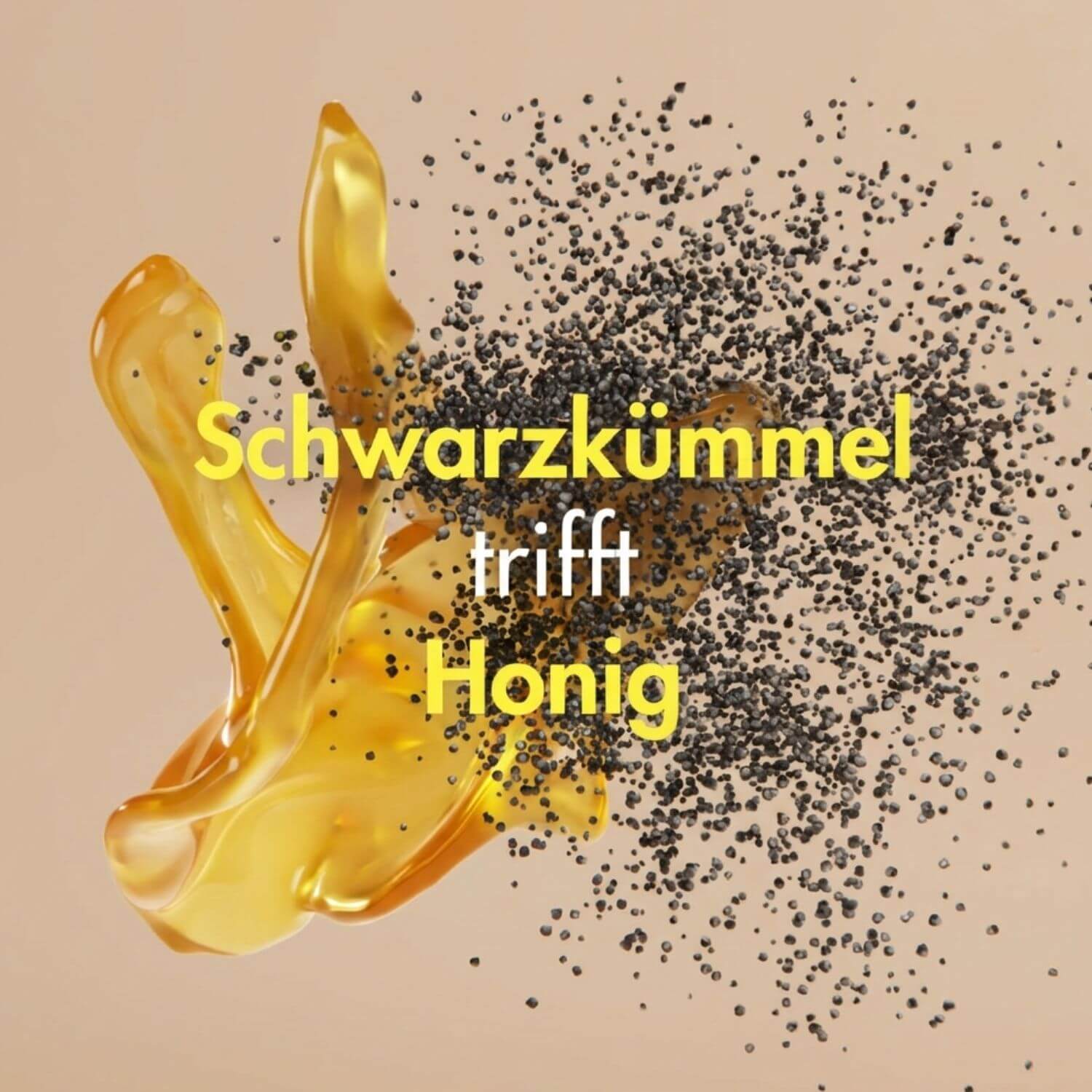 6× Bio Schwarzkümmel in Honig 250g