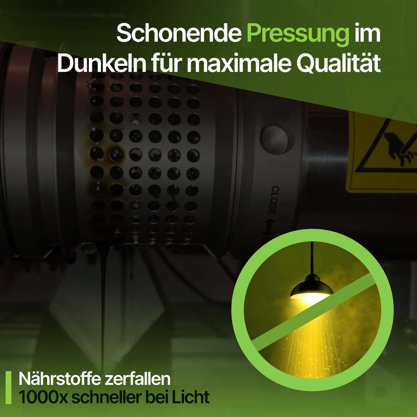 1× Schwarzkümmelöl Kapseln - ungefiltert - 240 Stück