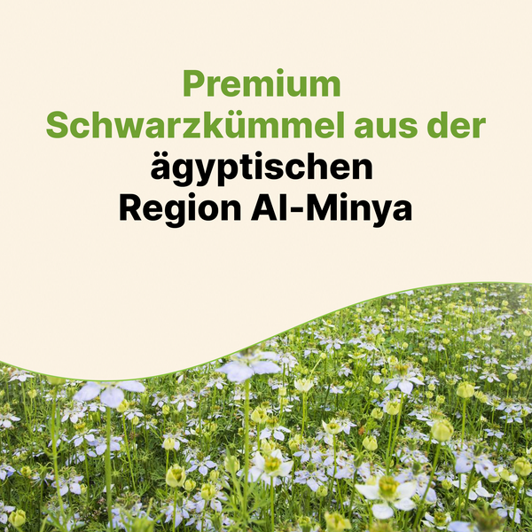 12× Bio Schwarzkümmelöl ungefiltert 100ml