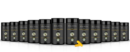 12x Bio Schwarzkümmelöl Kapseln - hochdosiert - 5% Thymochinon - 60 Kapseln